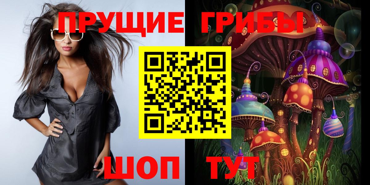 Россошь  Псилоцибиновые грибы Psilocybine cubensis  дарнет шоп  Вход с VPN 