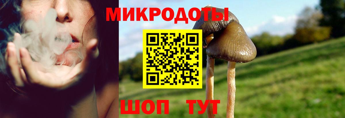 Галлюциногенные грибы Psilocybine cubensis Россошь